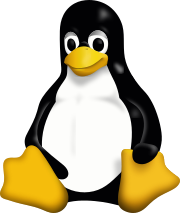 Linux kernel